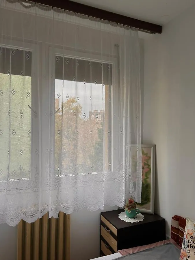 Kedves Kucko A Belvarosban Szeged