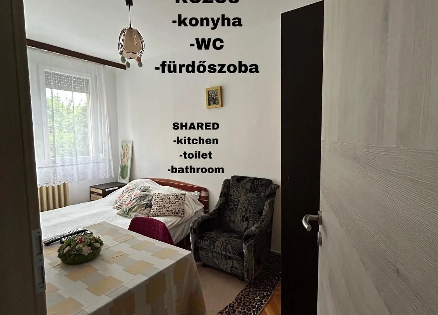 Kedves Kucko A Belvarosban Szeged